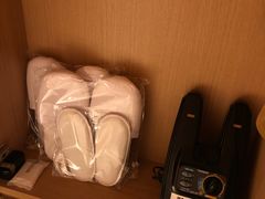 -京都全日空皇冠假日酒店