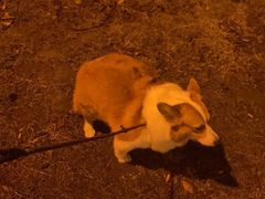 -沐槿宫韩式汗蒸水汇(马群店)