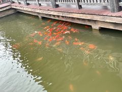 -枫香湖儿童公园