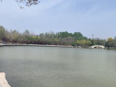-塘沽森林公园