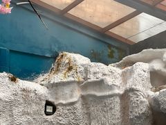 -中铁花水湾四季温泉谷
