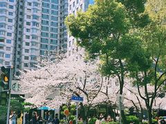-玛格萝妮比萨屋(四平店)