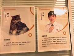 -全心全意连锁动物医院·微创中心·内科急重症·心脏专科(丰管路店)