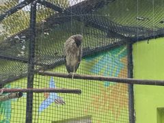 -荆州中山公园动物园