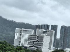 -深圳野生动物园