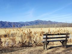 -野鸭湖国家湿地公园