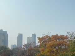 -墨宴(西洋湖店)