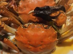 -星伦多 自助料理(圆融店)