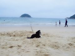 -西涌国际滨海旅游区