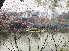 -重庆彩云湖湿地公园
