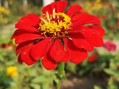 -永定河休闲森林公园