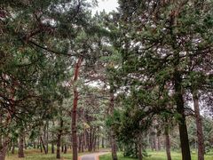 -国家植物园南园