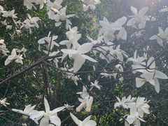 -木塔寺遗址生态公园