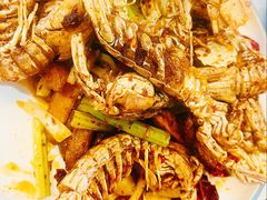-辣盆盆麻辣小龙虾(哈尔滨总店)