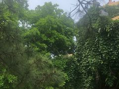 -燕窝岭