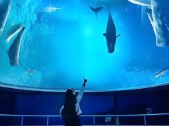 -常州海昌海洋探索馆