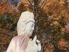 -连云港云龙涧原生态风景区