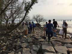 -宝安西湾红树林湿地公园