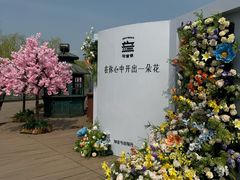 -武汉知音号