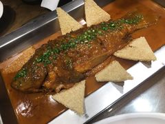 黄河鲤鱼王-秦唐一号西安菜馆(钟楼店)