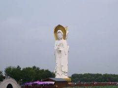 -白洋淀景区