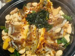 -滋粥楼·顺德菜(番禺广场总店)