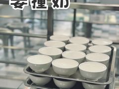 姜撞奶-义顺牛奶公司(新马路老店)