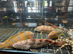 -璞御·海鲜·雪花牛肉局(宾水西道店)