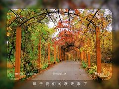 -沈阳植物园