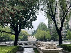 -木塔寺遗址生态公园