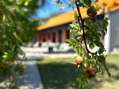 -大乘寺