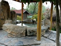 -金孔雀温泉旅游度假村