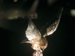 -深圳珠宝博物馆