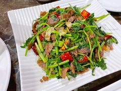 香菜根拌牛肉-燕青小馆(东园大厦店)