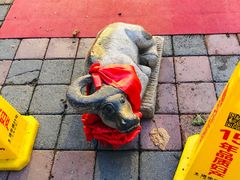 -清真·二嫂子煎饼果子(鼓楼旗舰形象店)