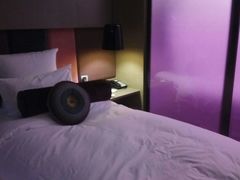-南京禄口机场雅高铂尔曼大酒店
