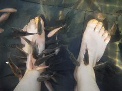 -剑河仰阿莎温泉小镇