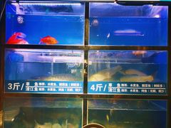 水产区-爱妻鱼•老体北重庆水煮鱼•川菜(白云路店)