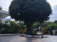 -广州白天鹅宾馆