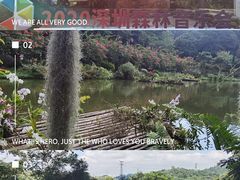 -深圳仙湖植物园