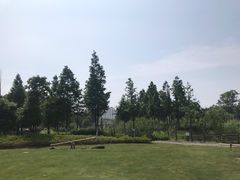 -田园东方蜜桃村的田野营地