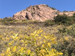 -红山国家森林公园