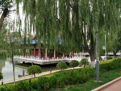 -雁滩公园