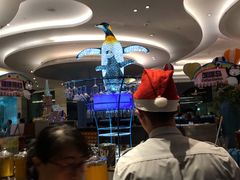 -帝企鹅自助餐厅•儿童岛•真企鹅(长隆企鹅酒店)