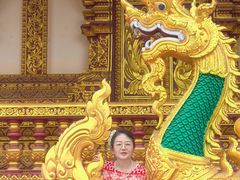 -西双版纳勐泐文化旅游区