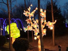 -南宫五洲植物乐园