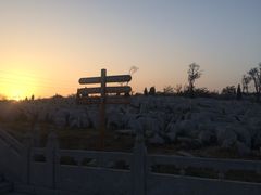 -原山国家森林公园