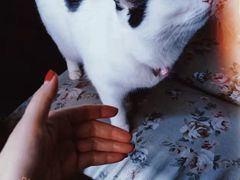 -么么咖啡(燕郊店)