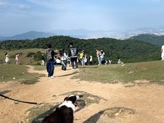 -大姆山草场