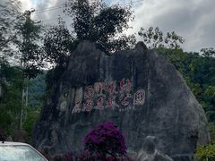 -西双版纳原始森林公园